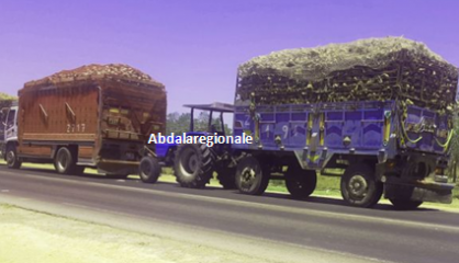 جمعية منتجي الشمندر تدعم صندوق كورونا