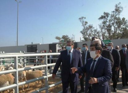 تدشين سوق عصري للماشية بسيدي بنور