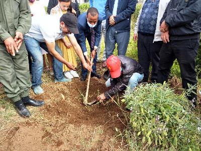 المديرية الإقليمية بالجديدة تحتفل بشجرة الاركان
