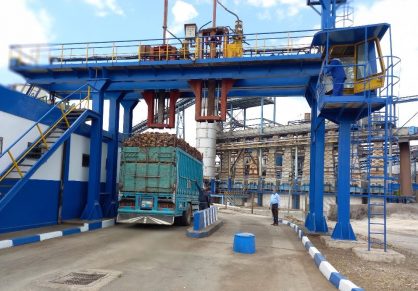 الشمندر السكري موسم ناجح رغم ندرة المياه