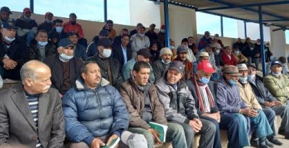 مربو الخيول يحتجون ويطالبون بتسقيف الجوائز