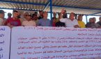أصحاب الخيول بالجديدة يطالبون بوضع حد للفوضى والسيبة