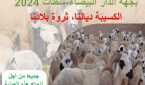 انطلاق عملية احصاء الماشية بجهة الدار البيضاء سطات  2024